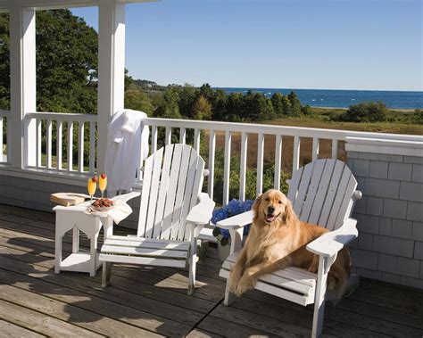 THE 10 BEST Hampton Pet Friendly Hotels